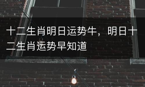 十二生肖明日运势牛，明日十二生肖运势早知道