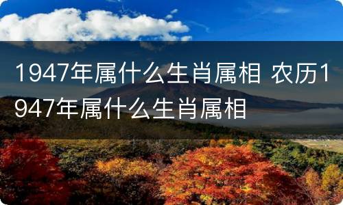 1947年属什么生肖属相 农历1947年属什么生肖属相
