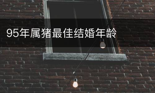 95年属猪最佳结婚年龄
