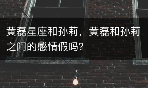 黄磊星座和孙莉，黄磊和孙莉之间的感情假吗？