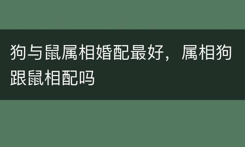 狗与鼠属相婚配最好，属相狗跟鼠相配吗