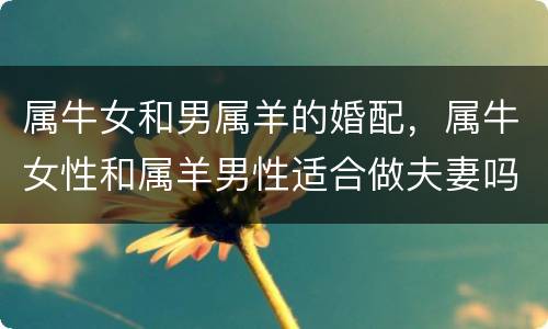 属牛女和男属羊的婚配，属牛女性和属羊男性适合做夫妻吗