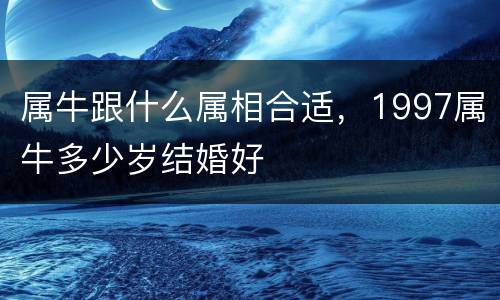 属牛跟什么属相合适，1997属牛多少岁结婚好