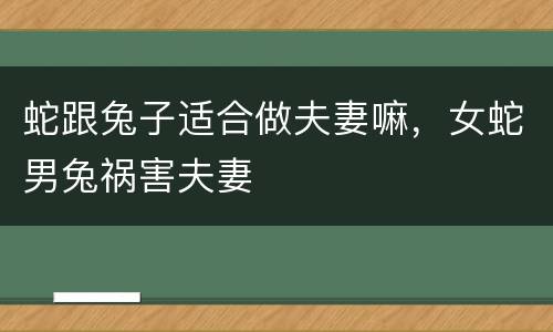蛇跟兔子适合做夫妻嘛，女蛇男兔祸害夫妻