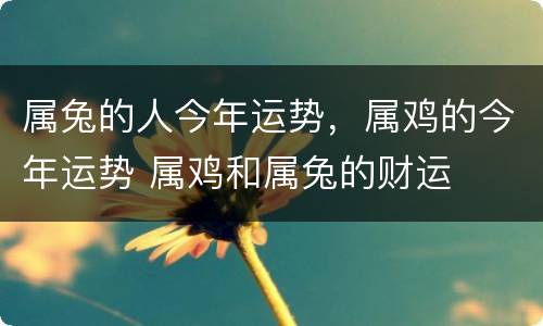 属兔的人今年运势，属鸡的今年运势 属鸡和属兔的财运