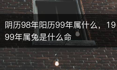 阴历98年阳历99年属什么，1999年属兔是什么命