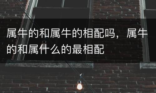 属牛的和属牛的相配吗，属牛的和属什么的最相配