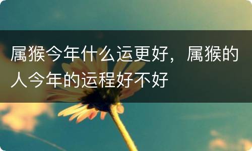 属猴今年什么运更好，属猴的人今年的运程好不好