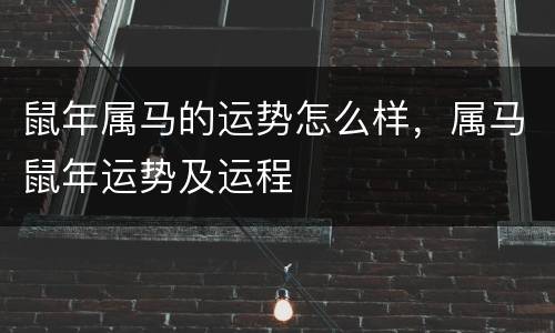 鼠年属马的运势怎么样，属马鼠年运势及运程