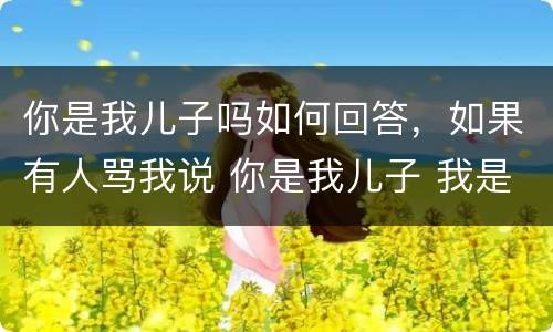 你是我儿子吗如何回答，如果有人骂我说 你是我儿子 我是你爸 之类的话