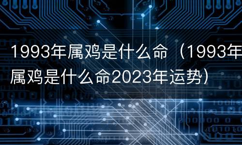 1993年属鸡是什么命（1993年属鸡是什么命2023年运势）