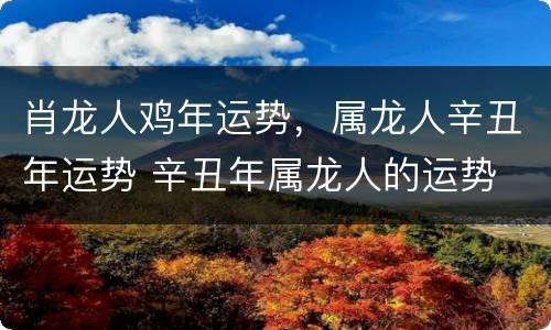 肖龙人鸡年运势，属龙人辛丑年运势 辛丑年属龙人的运势