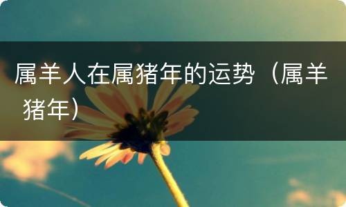 属羊人在属猪年的运势（属羊 猪年）