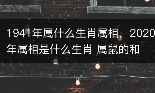 1941年属什么生肖属相，2020年属相是什么生肖 属鼠的和