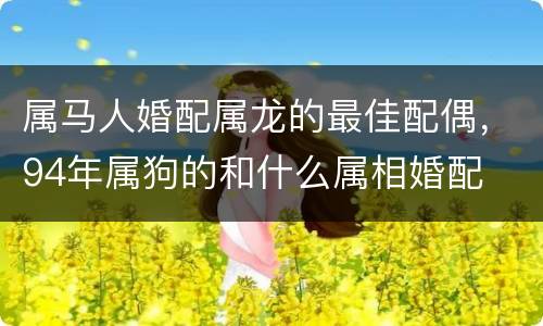 属马人婚配属龙的最佳配偶，94年属狗的和什么属相婚配