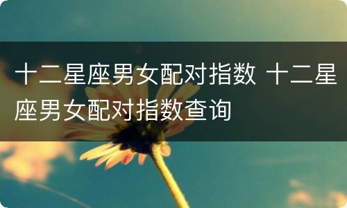 十二星座男女配对指数 十二星座男女配对指数查询