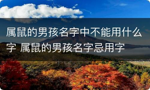 属鼠的男孩名字中不能用什么字 属鼠的男孩名字忌用字