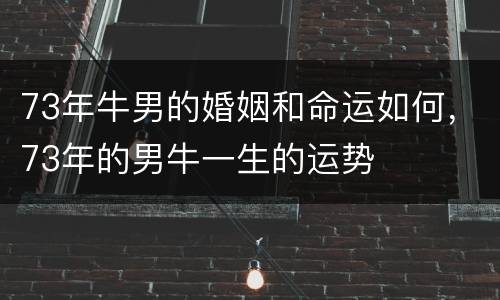 73年牛男的婚姻和命运如何，73年的男牛一生的运势