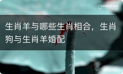 生肖羊与哪些生肖相合，生肖狗与生肖羊婚配