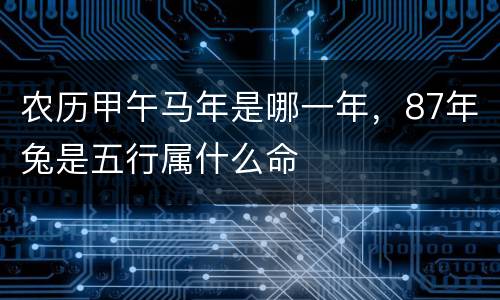 农历甲午马年是哪一年，87年兔是五行属什么命