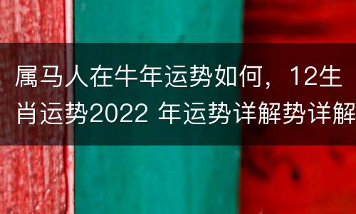 属马人在牛年运势如何，12生肖运势2022 年运势详解势详解