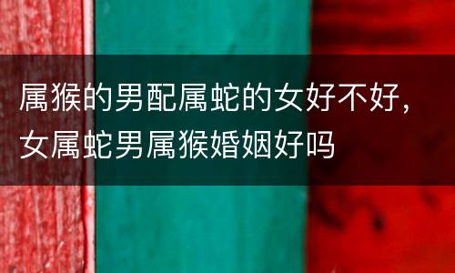 属猴的男配属蛇的女好不好，女属蛇男属猴婚姻好吗