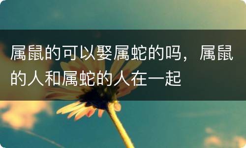 属鼠的可以娶属蛇的吗，属鼠的人和属蛇的人在一起