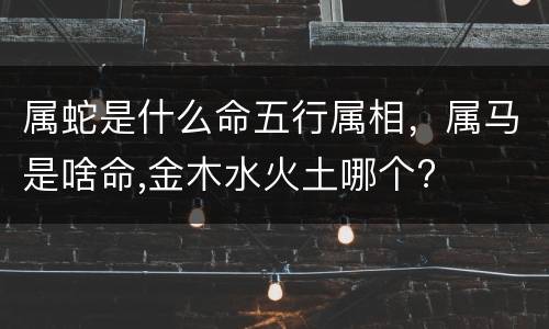 属蛇是什么命五行属相，属马是啥命,金木水火土哪个?