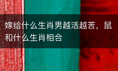 嫁给什么生肖男越活越苦，鼠和什么生肖相合