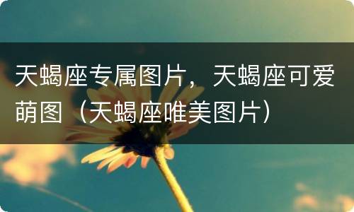 天蝎座专属图片，天蝎座可爱萌图（天蝎座唯美图片）