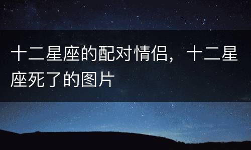 十二星座的配对情侣，十二星座死了的图片