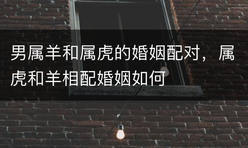 男属羊和属虎的婚姻配对，属虎和羊相配婚姻如何