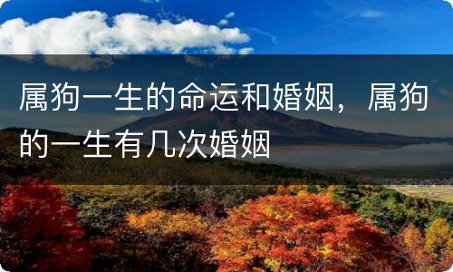 属狗一生的命运和婚姻，属狗的一生有几次婚姻