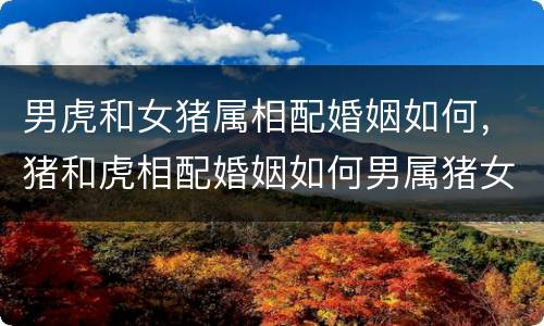男虎和女猪属相配婚姻如何，猪和虎相配婚姻如何男属猪女属虎