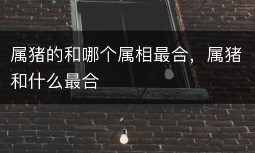 属猪的和哪个属相最合，属猪和什么最合