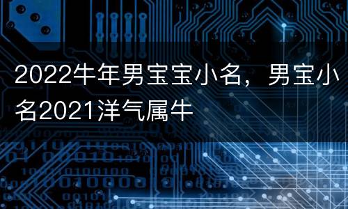 2022牛年男宝宝小名，男宝小名2021洋气属牛