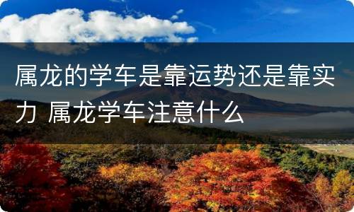 属龙的学车是靠运势还是靠实力 属龙学车注意什么