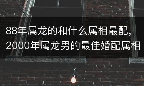 88年属龙的和什么属相最配，2000年属龙男的最佳婚配属相，
