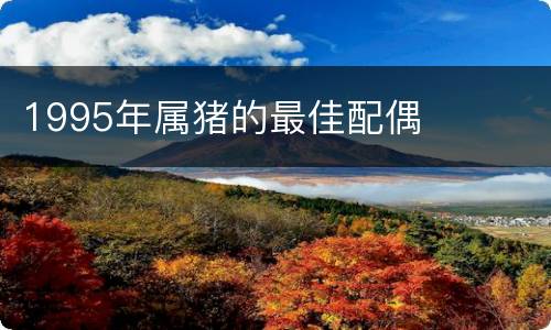 1995年属猪的最佳配偶