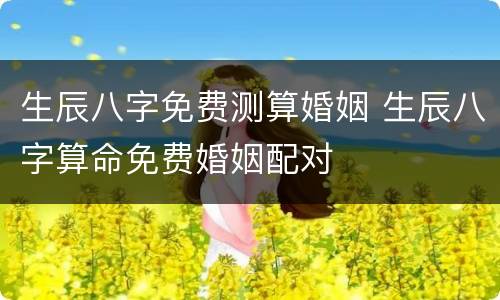 生辰八字免费测算婚姻 生辰八字算命免费婚姻配对