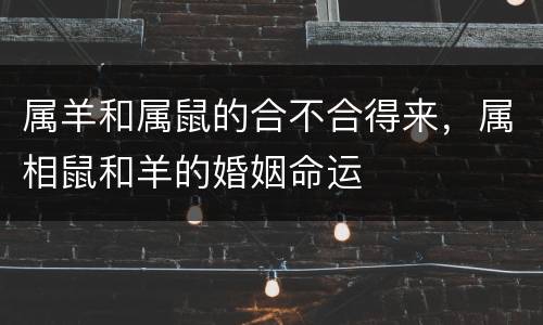 属羊和属鼠的合不合得来，属相鼠和羊的婚姻命运