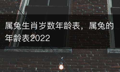 属兔生肖岁数年龄表，属兔的年龄表2022