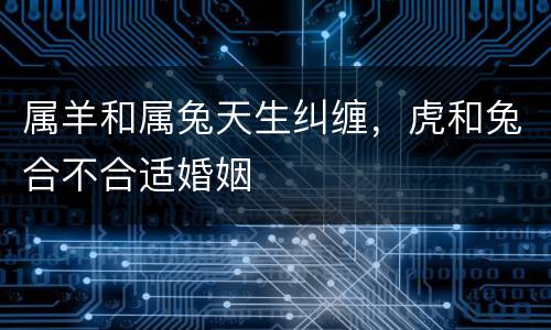 属羊和属兔天生纠缠，虎和兔合不合适婚姻