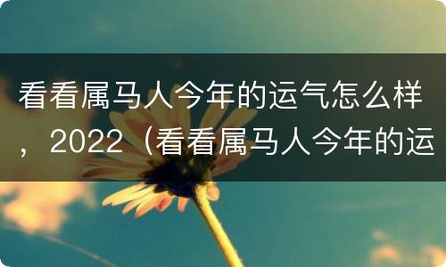 看看属马人今年的运气怎么样，2022（看看属马人今年的运气怎么样,2022年的运势）