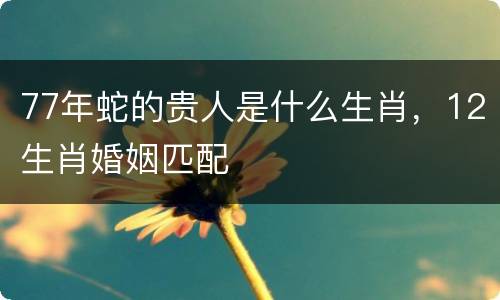 77年蛇的贵人是什么生肖，12生肖婚姻匹配