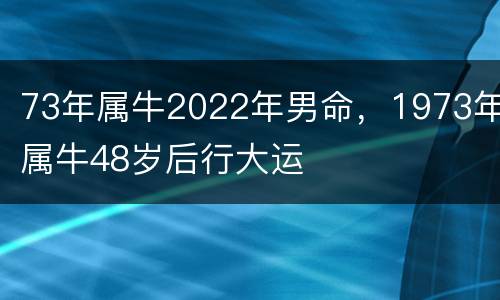 73年属牛2022年男命，1973年属牛48岁后行大运