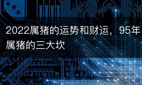 2022属猪的运势和财运，95年属猪的三大坎