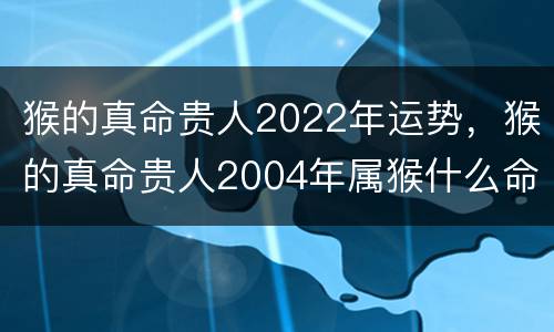猴的真命贵人2022年运势，猴的真命贵人2004年属猴什么命