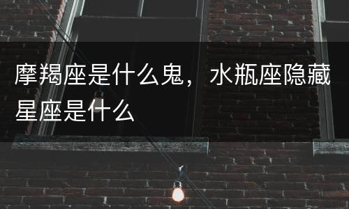 摩羯座是什么鬼，水瓶座隐藏星座是什么