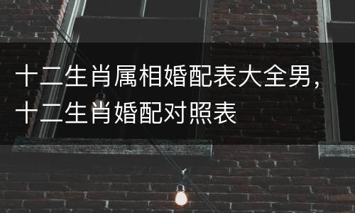 十二生肖属相婚配表大全男，十二生肖婚配对照表